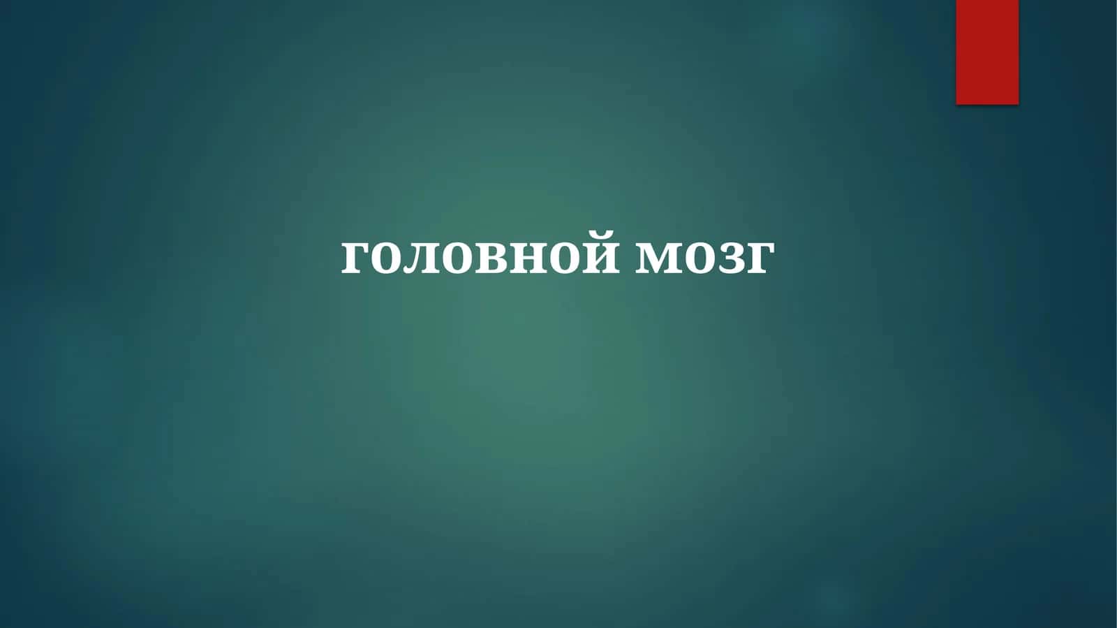 Основные Функции Мозга