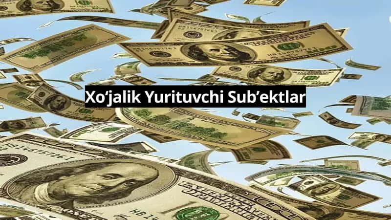 Xoʻjalik Yurituvchi Subʼektlar