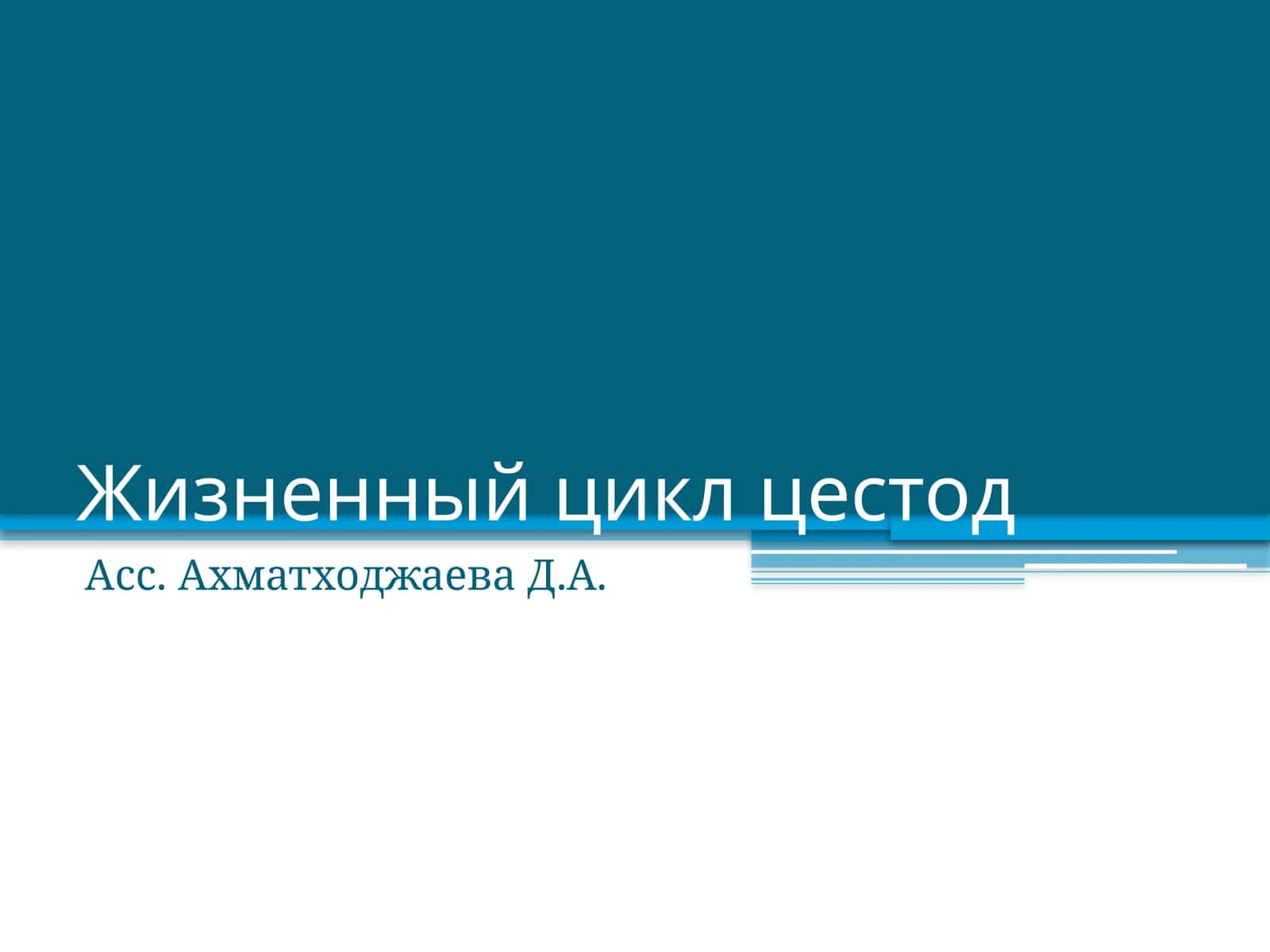 Жизненный цикл цестод