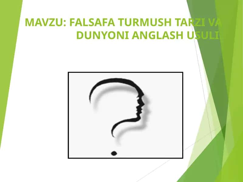 FALSAFA TURMUSH TARZI VA DUNYONI ANGLASH USULI