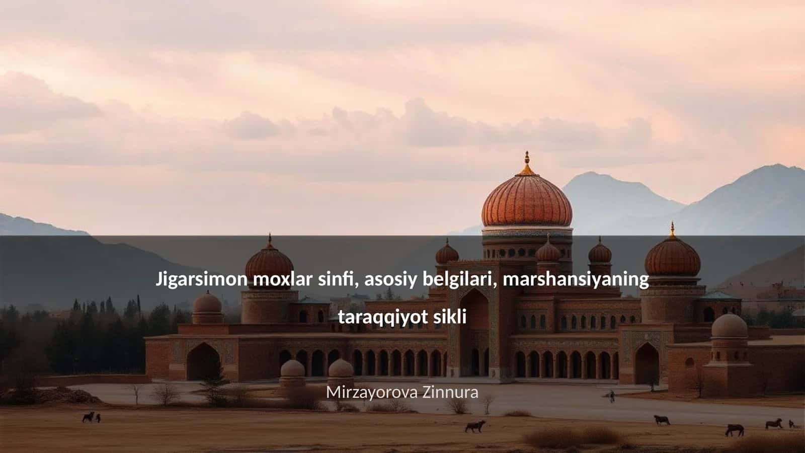 Jigarsimon moxlar sinfi, asosiy belgilari, marshansiyaning taraqqiyot sikli