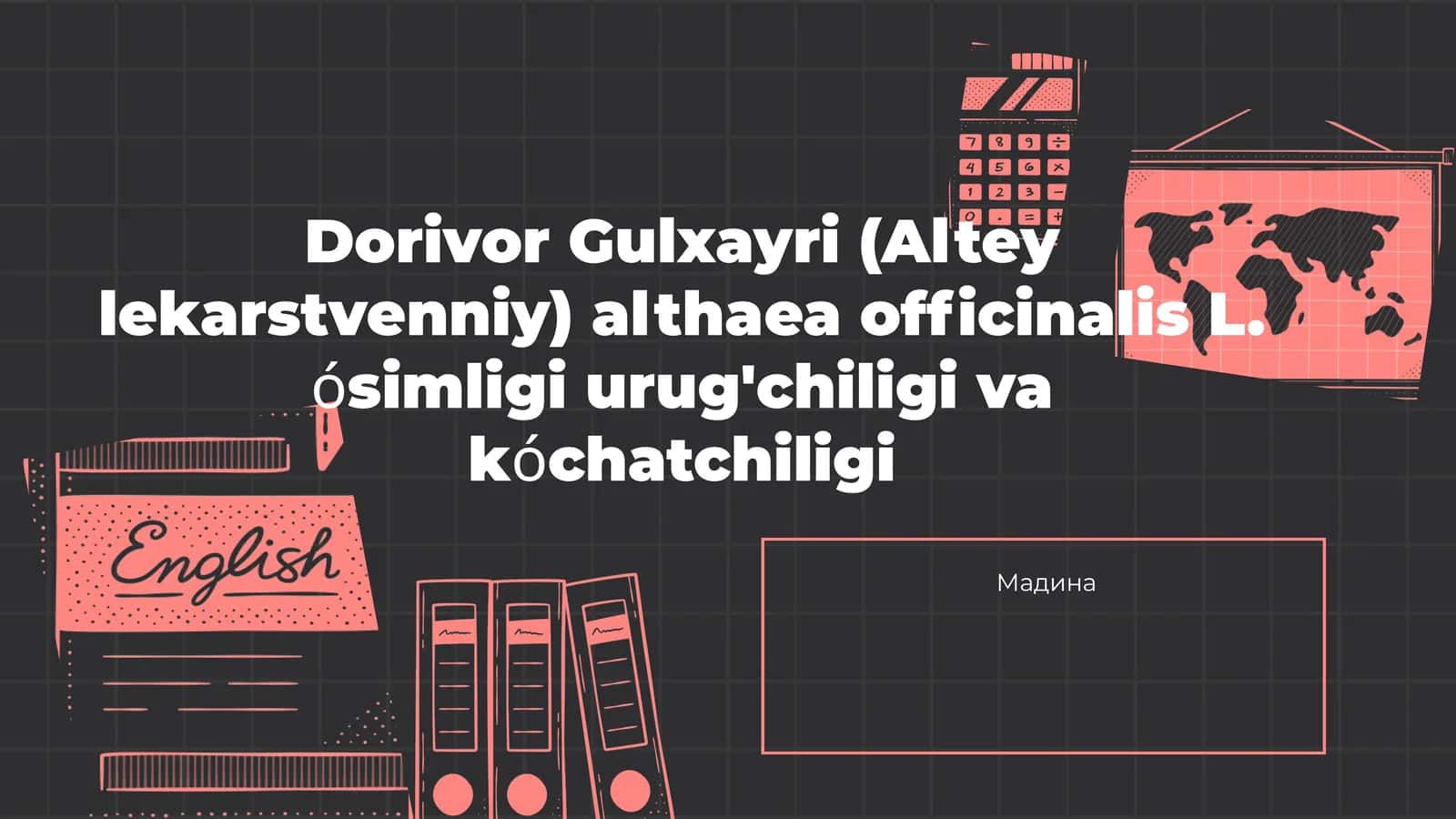 Dorivor Gulxayri (Alteyle karstvenniy)