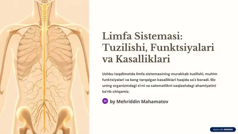 Limfa Sistemasi: Tuzilishi, Funktsiyalari va Kasalliklari