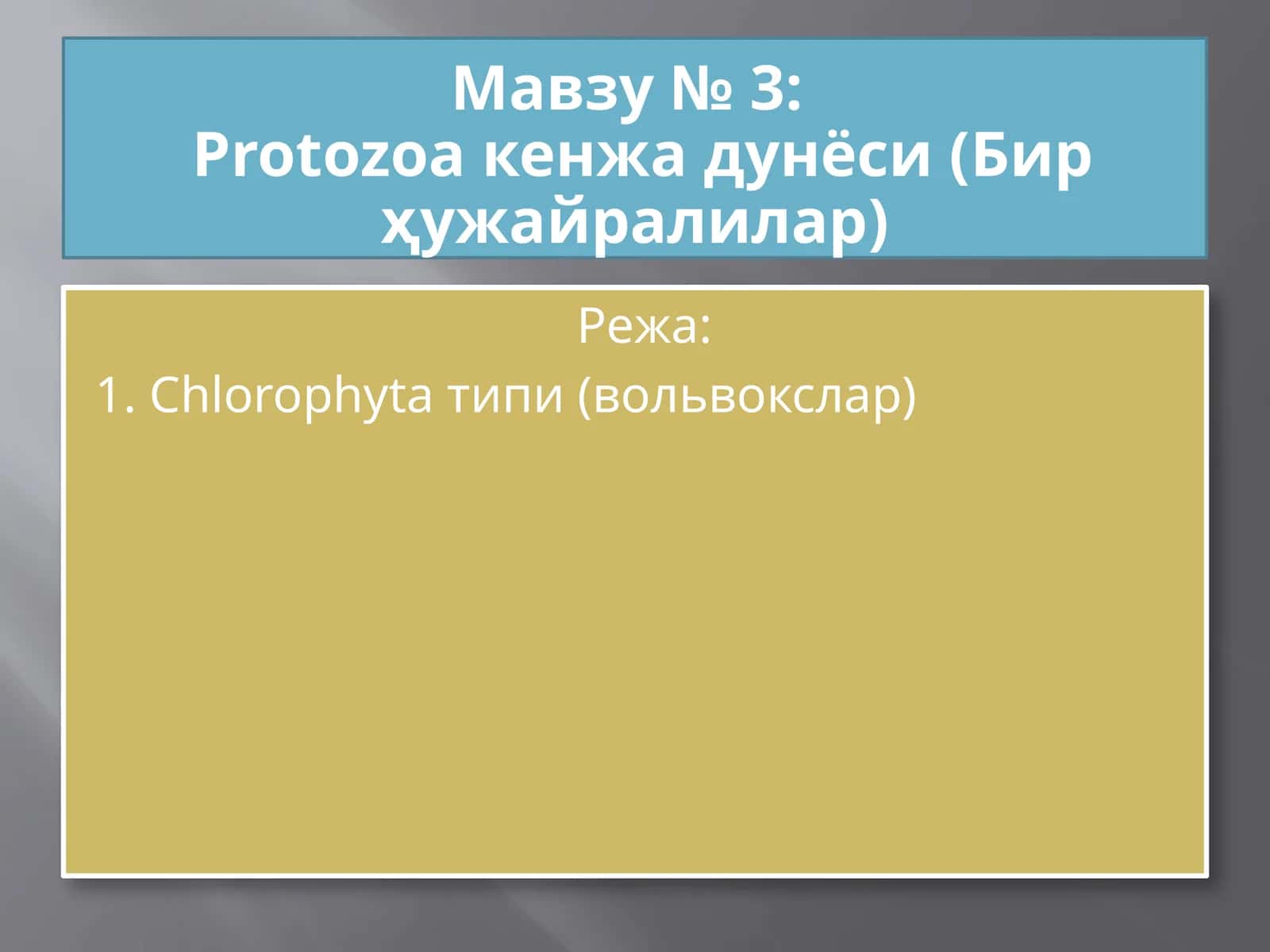 Protozoa кенжа дунёси (Бир ҳужайралилар)