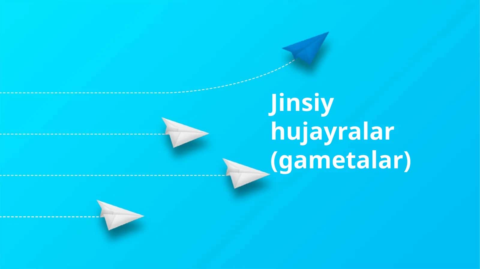Jinsiy hujayralar (gametalar)