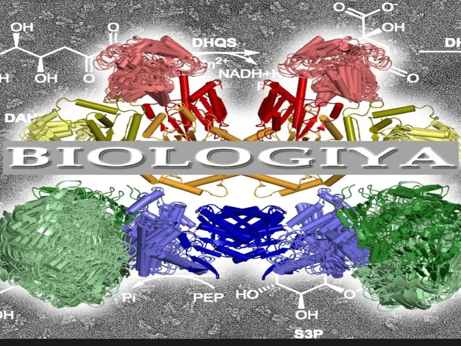 Hujayra biologiyasi. Sitologiyaning rivojlanish bosqichlari. Hujayra taʼlimoti. Shvanning hujayra nazariyasi