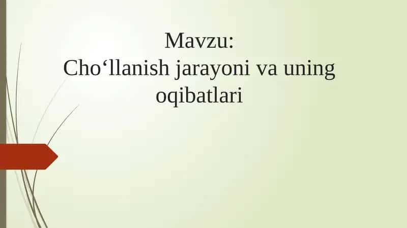 Cho‘llanish jarayoni va uning oqibatlari