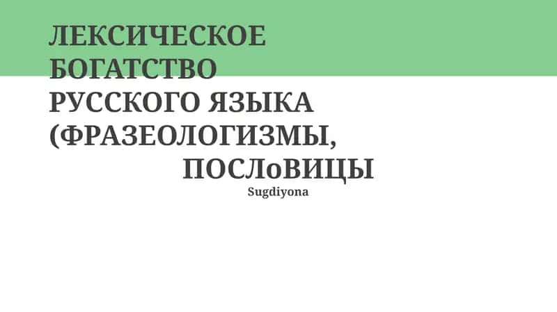 Лексическое богатство русского языка (Фразеологизмы, Пословицы)