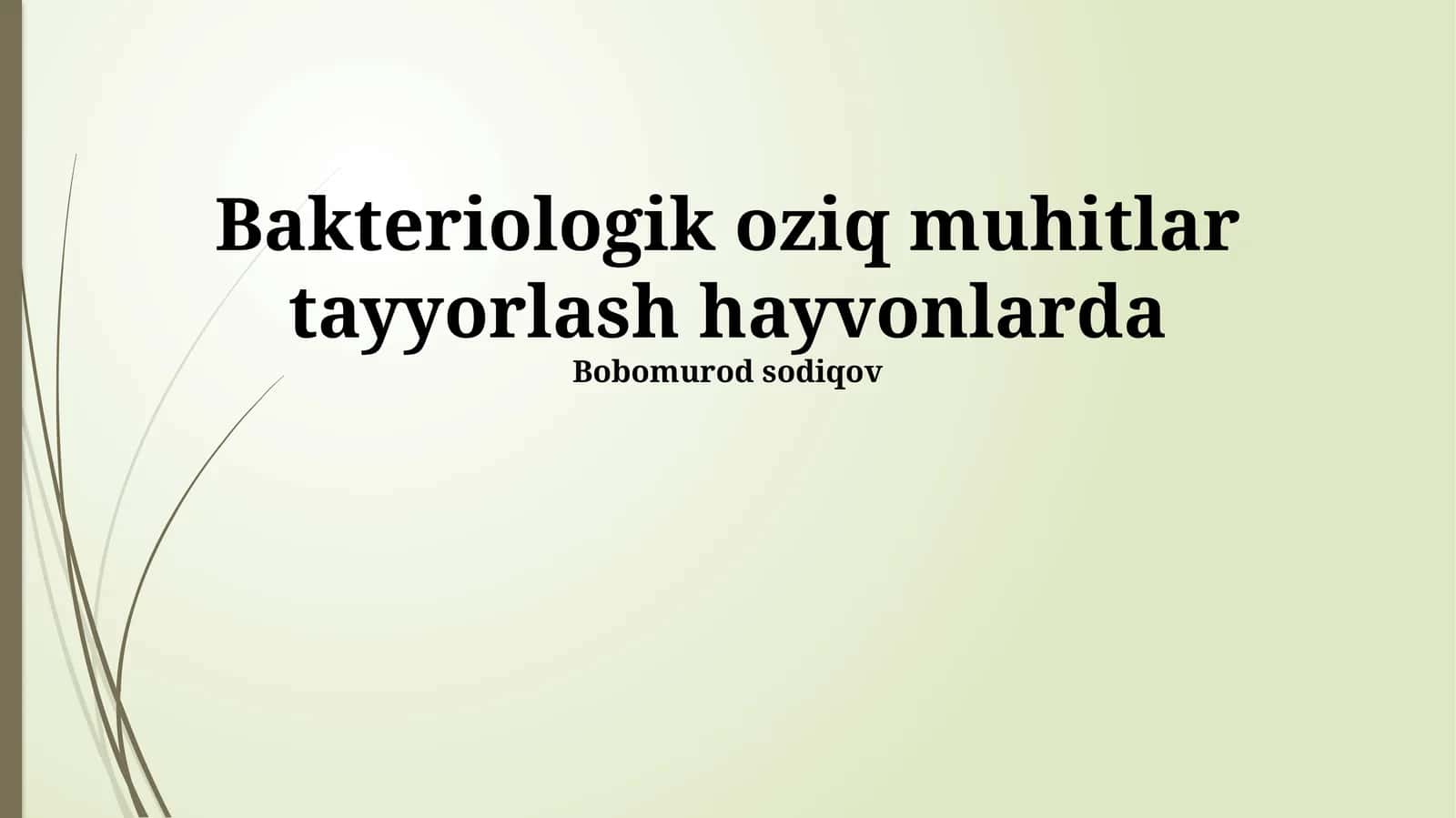 Bakteriologik oziq muhitlar tayyorlash hayvonlarda