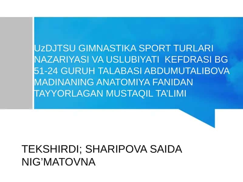 VENA QON AYLANISH TIZIMI
