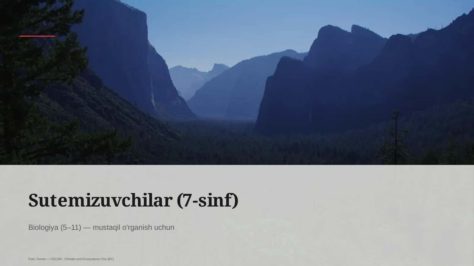 Sutemizuvchilar (7-sinf)