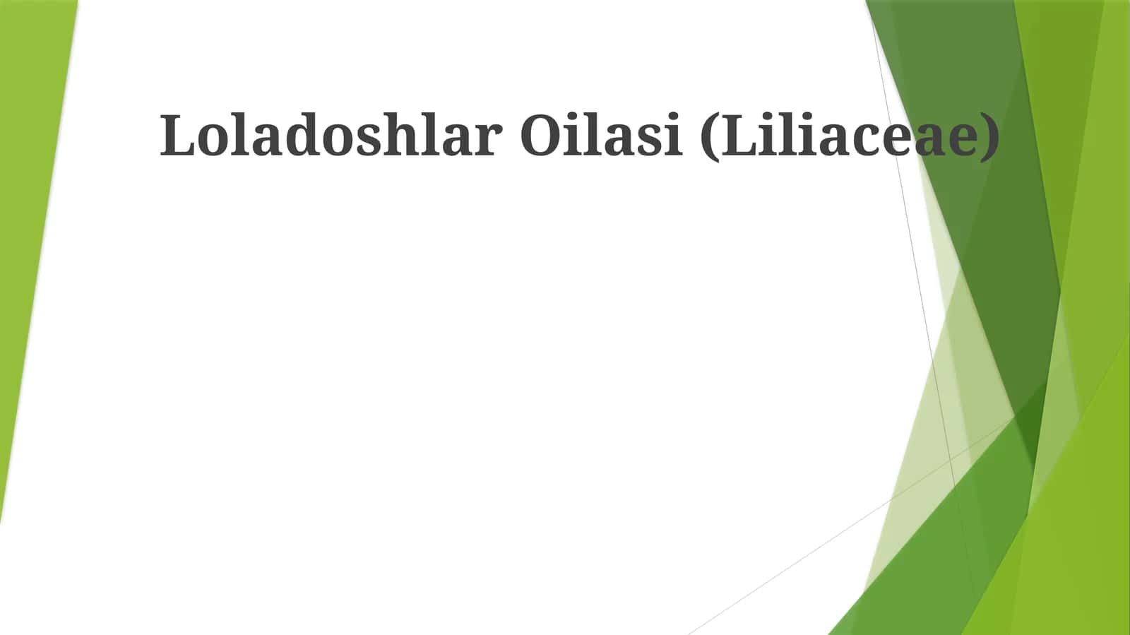 Loladoshlar Oilasi (Liliaceae)