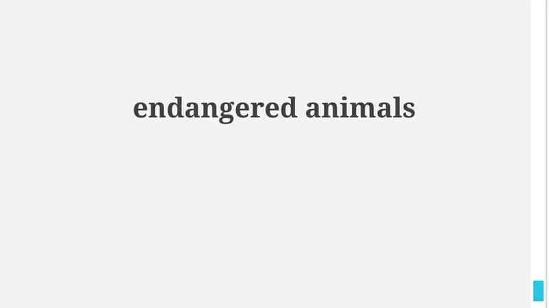 Understanding Endangered Species and Their Plight