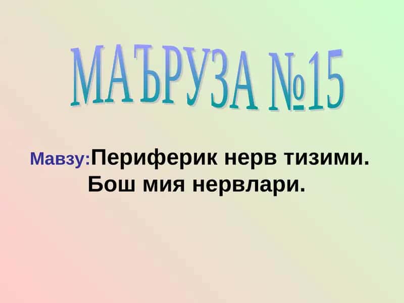 МАЪРУЗА №15