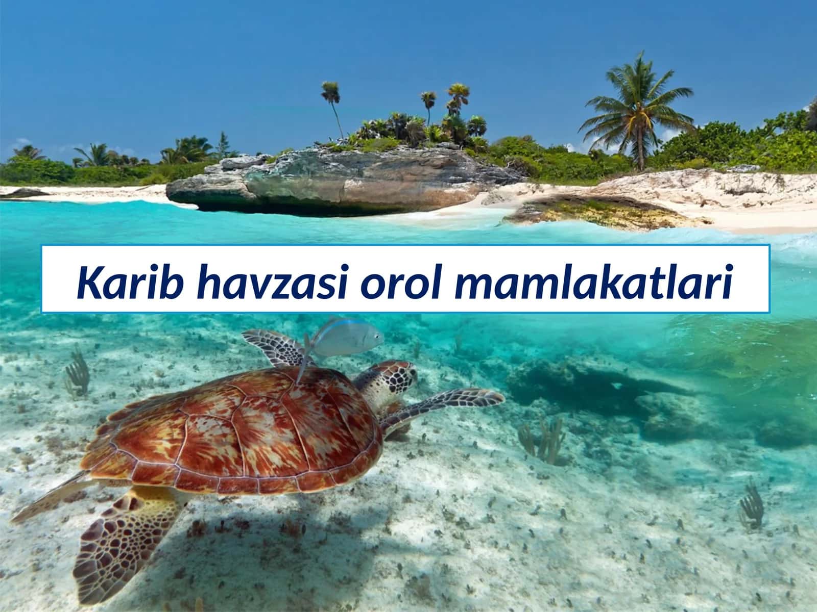 Karib havzasi orol mamlakatlari