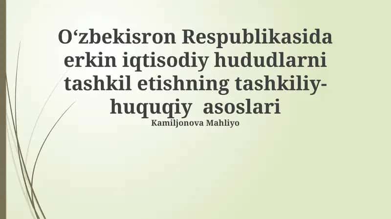 Oʻzbekiston Respublikasida Erkin Iqtisodiy Zonalarni Tashkil etishning Tashkiliy asoslari