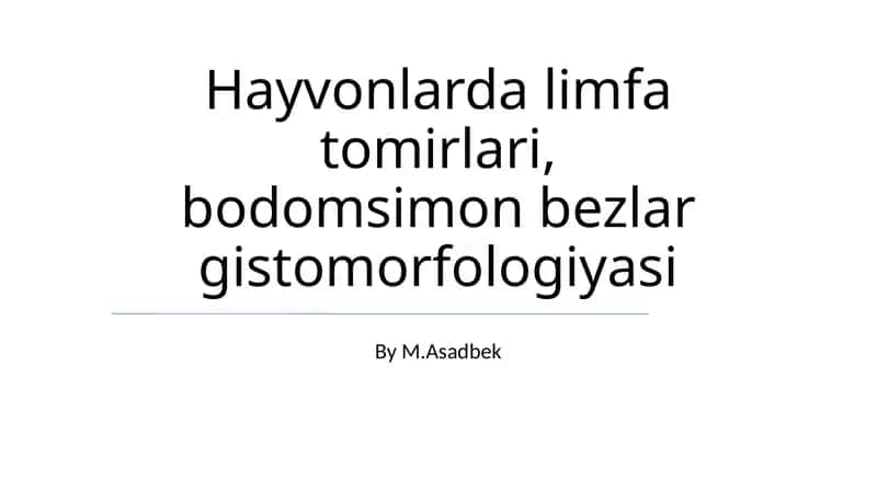 Hayvonlarda limfa tomirlari, bodomsimon bezlar gistomorfologiyasi