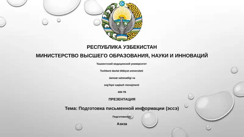 Подготовка письменной информации (эссэ)