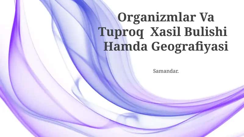 Organizmlar Va Tuproq Xasil Bulishi Hamda Geografiyasi