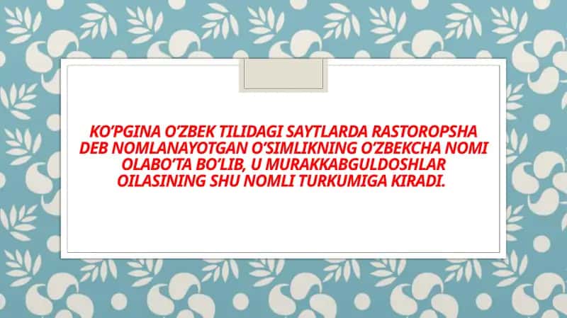 Olabuta (Silybum) Turkumi