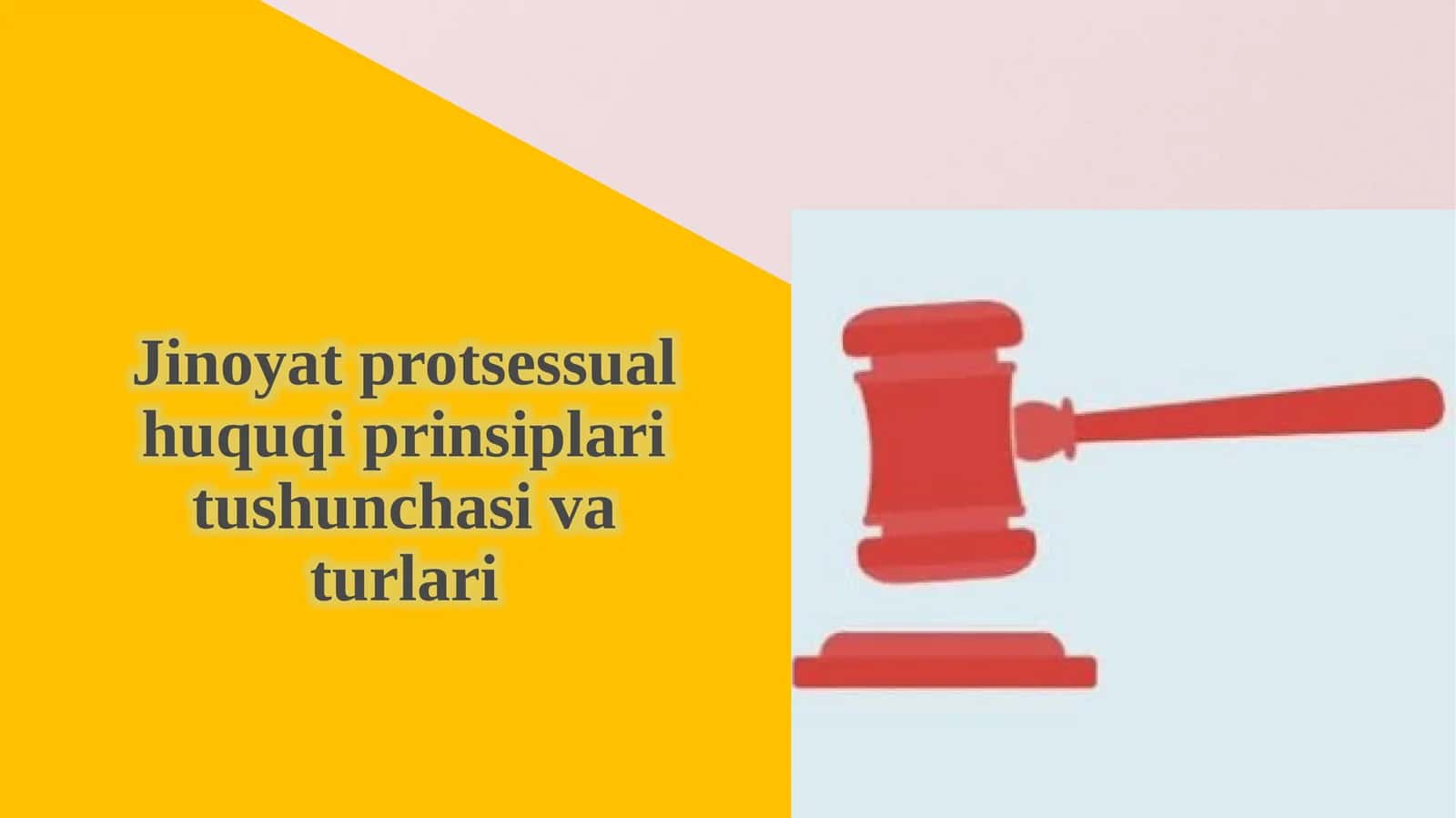 Jinoyatprotsessual huquqi prinsiplari tushunchasi va turlari