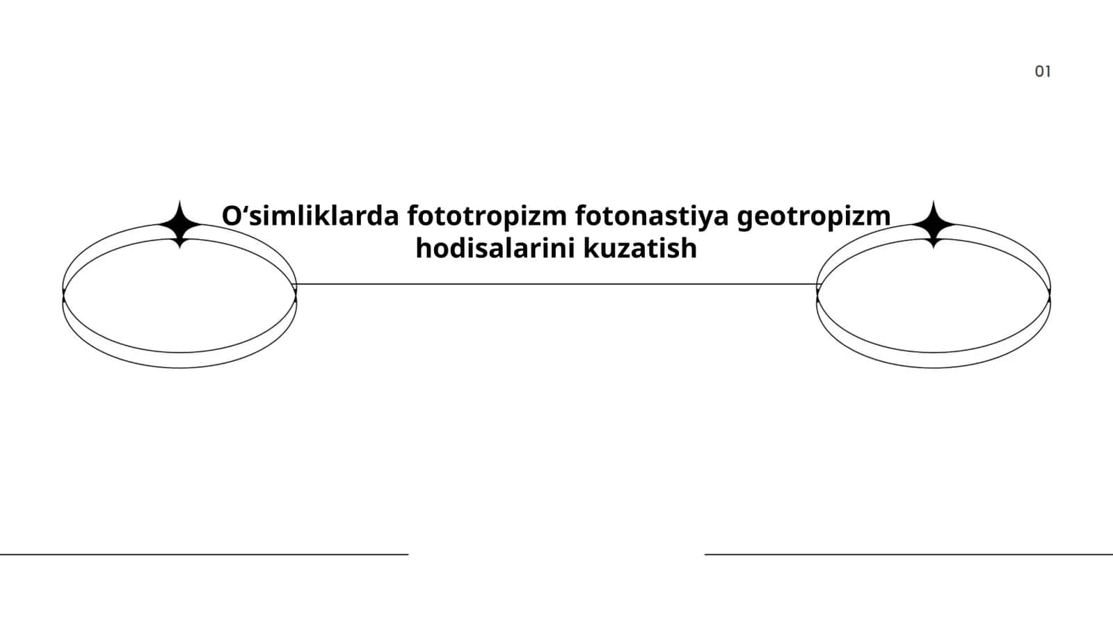 Oʻsimliklarda fototropizm fotonastiya geotropizm hodisalarini kuzatish
