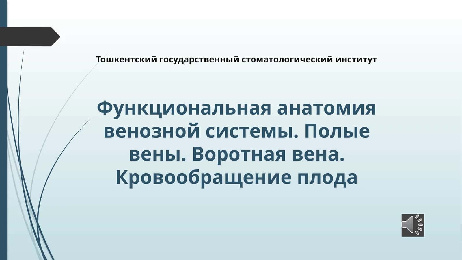 Функциональная анатомия венозной системы. Полые вены. Воротная вена. Кровообращение плода