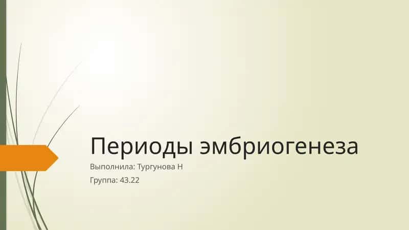 Периоды эмбриогенеза