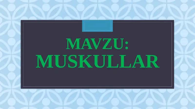 Muskullar
