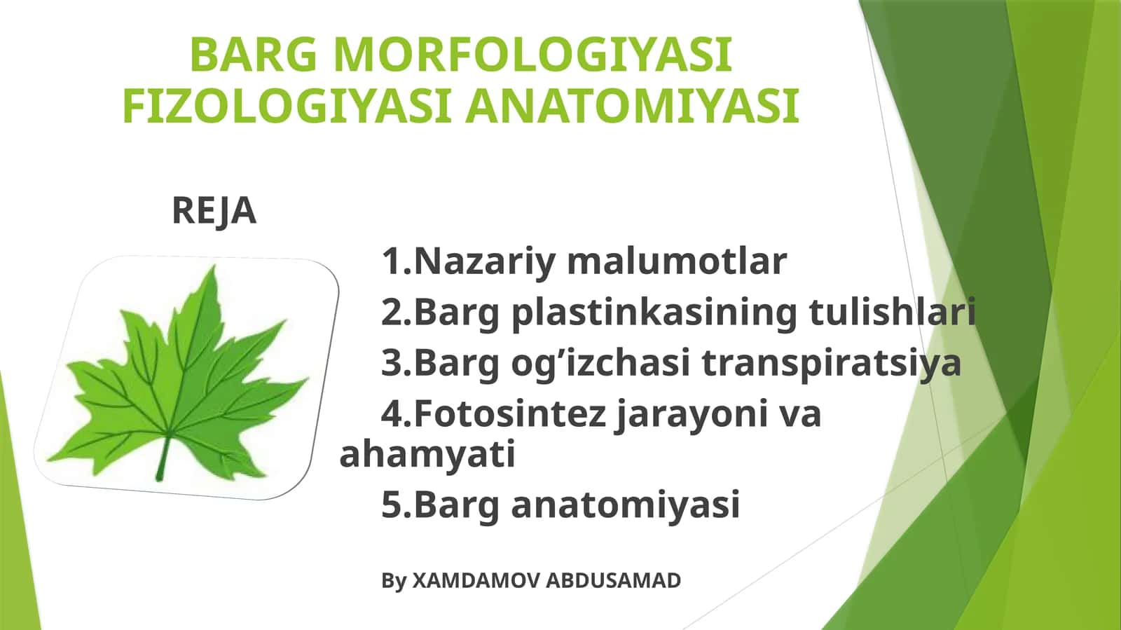 BARG MORFOLOGIYASI FIZOLOGIYASI ANATOMIYASI