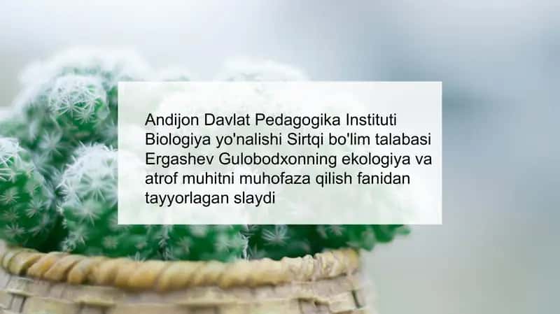 Ekologiya va atrof-muhitni muhofaza qilish