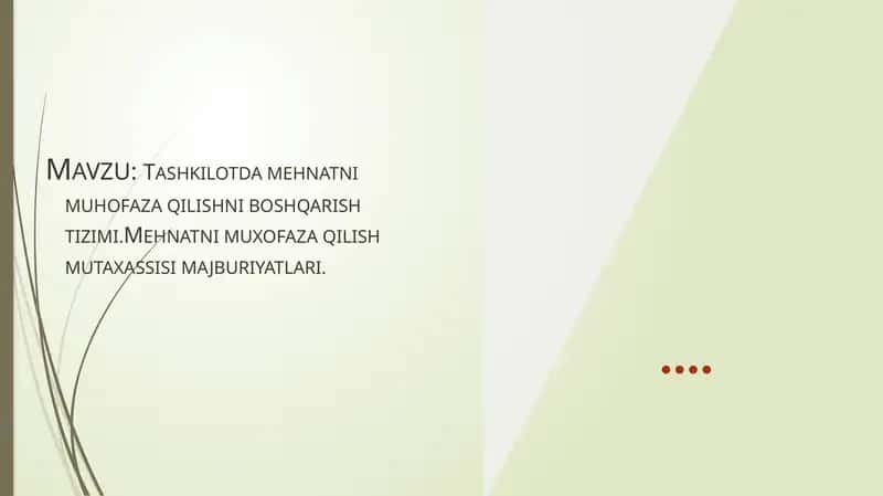 Mehnatni muhofaza qilishni boshqarish tizimi