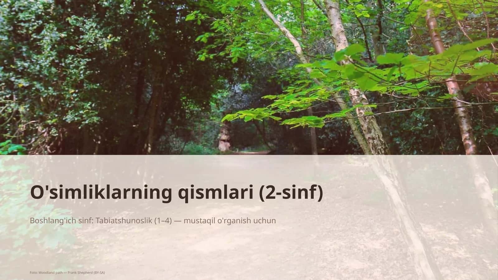O'simliklarning qismlari (2-sinf)