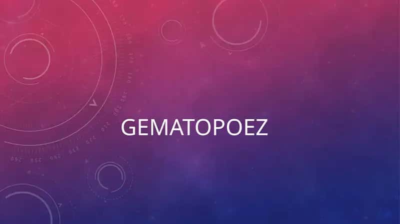 Gematopoez - qon hujayralari yaratilishi.