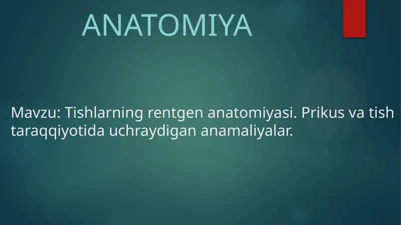 Tishlarning rentgenanatomiyasi