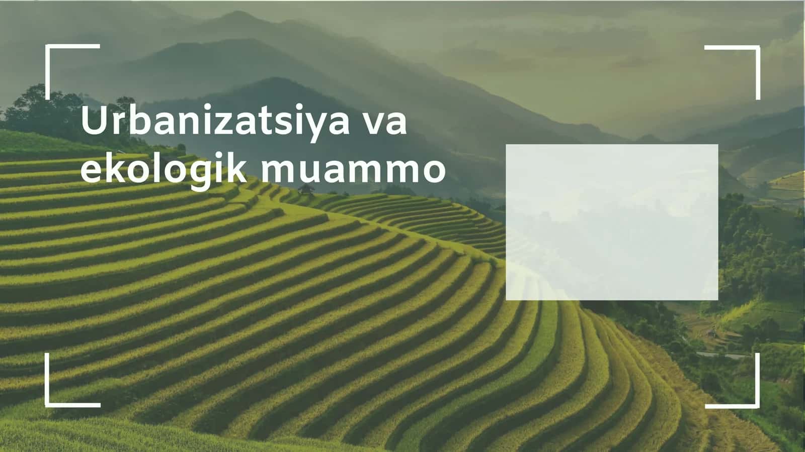 Urbanizatsiya va ekologik muammo