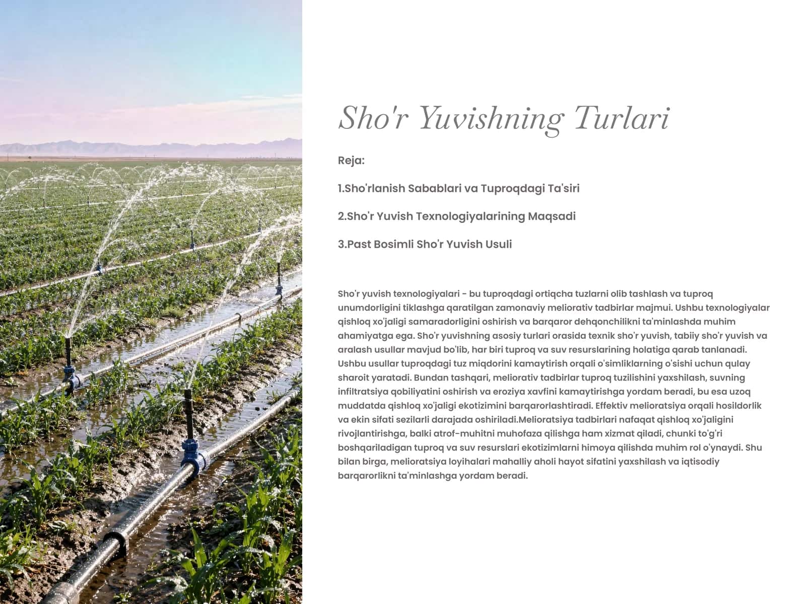 Sho'r Yuvishning Turlari