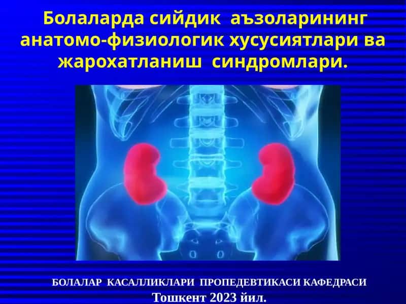 Болаларда сийдик аъзоларининг анатомо-физиологик хусусиятлари ва жарохатланиш синдромлари