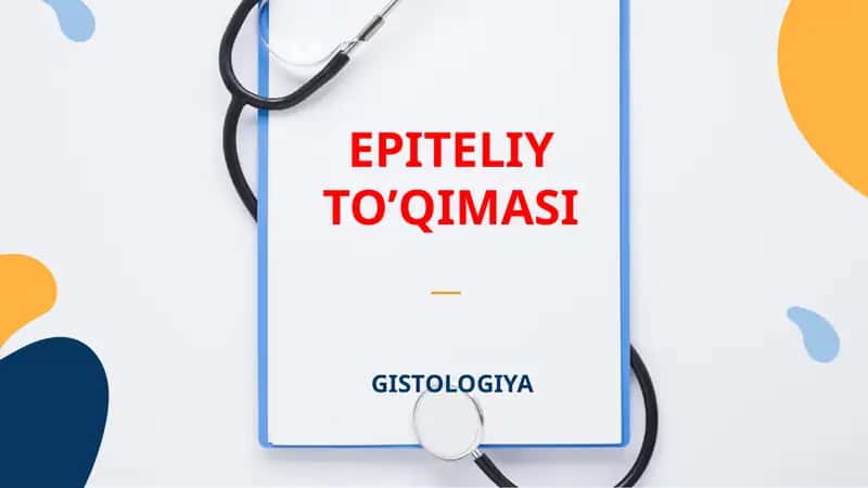 EPITELIY TO’QIMASI