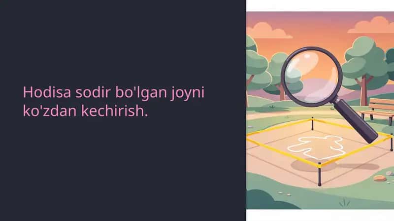 Hodisa sodir bo'lgan joyni ko'zdan kechirish