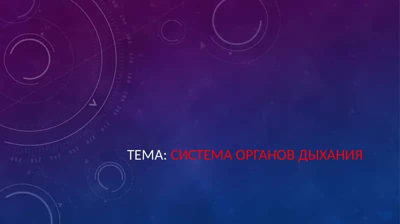 СИСТЕМА ОРГАНОВ ДЫХАНИЯ