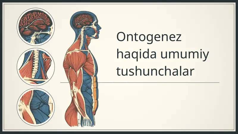 Ontogenez haqida umumiy tushunchalar