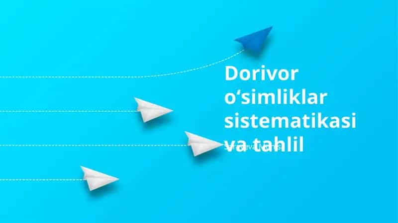 O'simliklar sistematikasi va tahlil