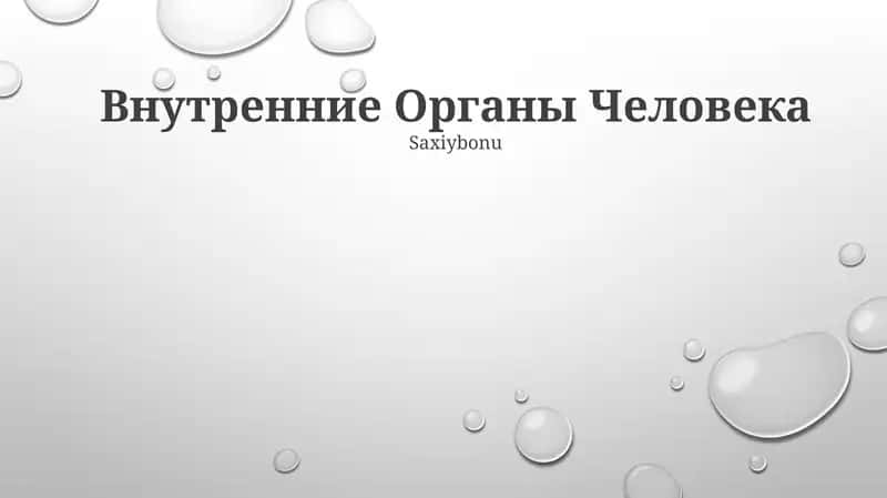 Внутренние Органы Человека