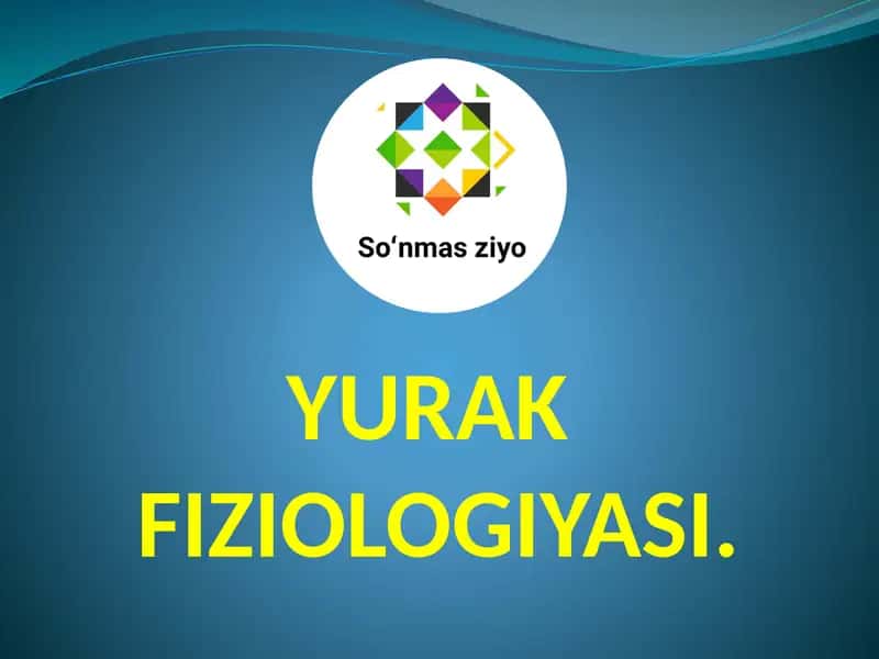YURAK FIZIOLOGIYASI
