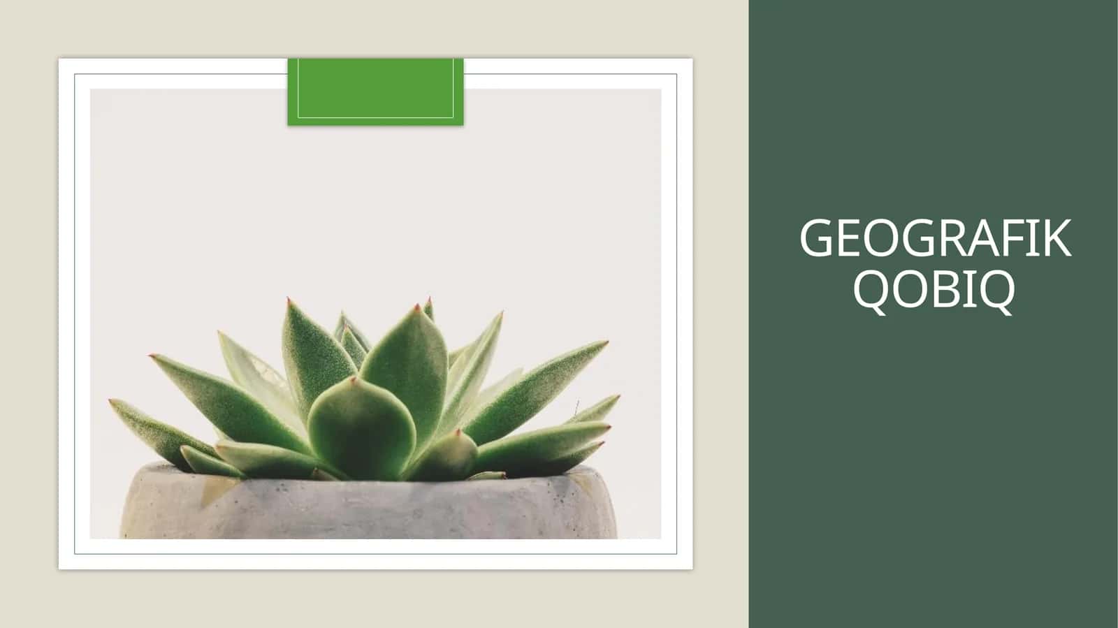 Geografik qobiq