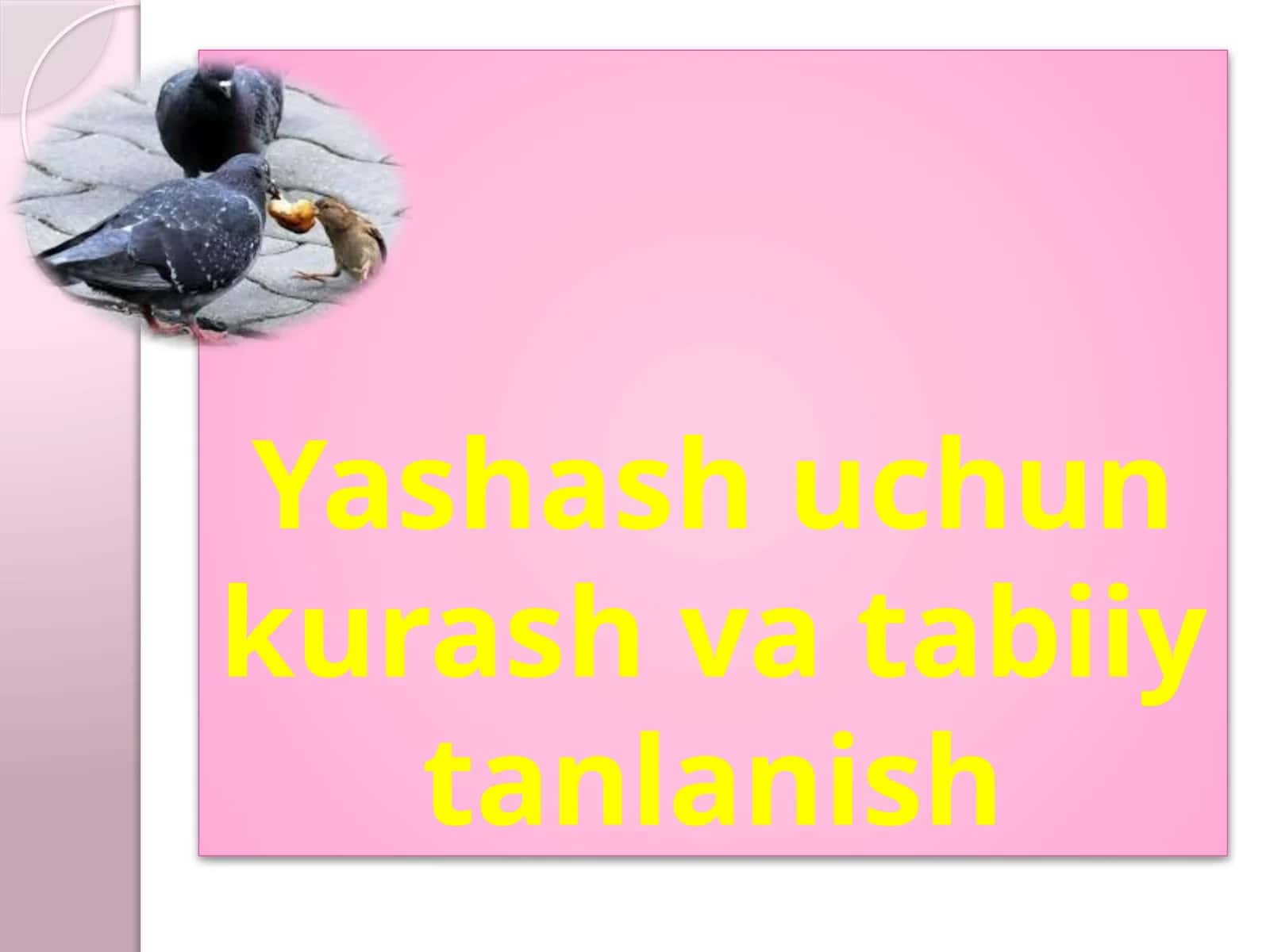 Yashash uchun kurash va tabiiy tanlanish