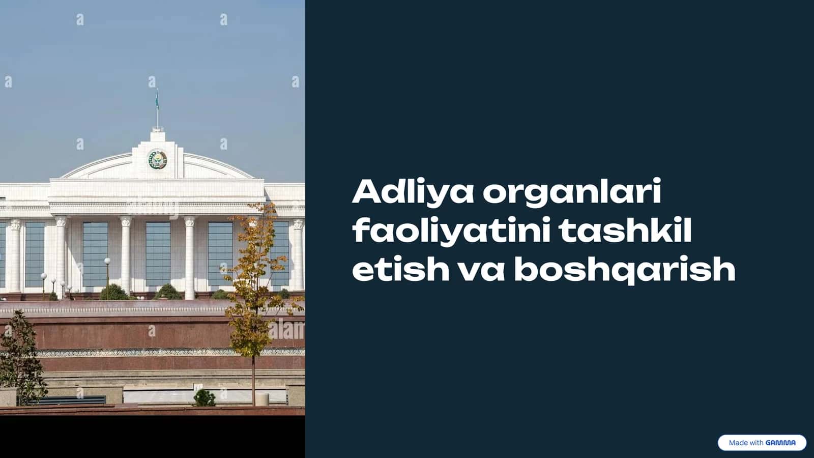 Adliya Organlari Faoliyatini Tashkil Etish va Boshqarish