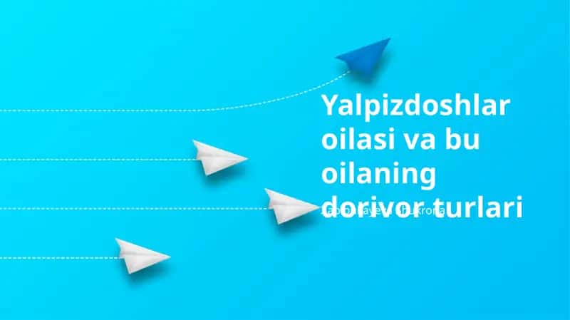 Yalpizdoshlar oilasi va bu oilaning dorivor turlari