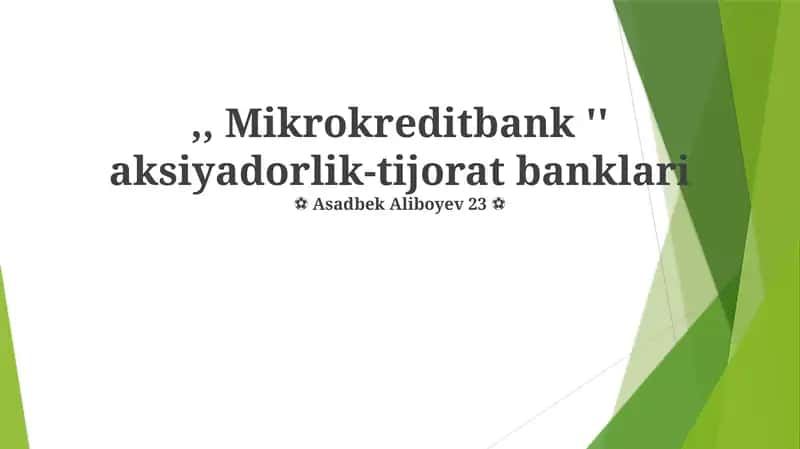 Mikrokredit Bank Model: Tuzilishi va Faoliyati
